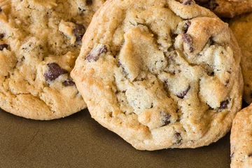  closeup of homemade chocolate chip cookies on baking sheet © littleny