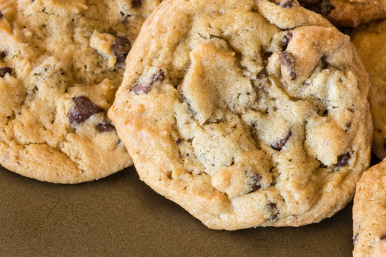 closeup of homemade chocolate chip cookies on baking sheet