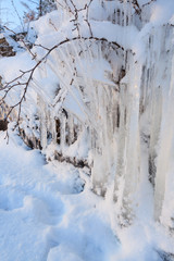 Fototapeta na wymiar Beautiful icicle ice formation on small tree