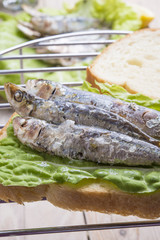 Sandwich Kamut, tapas with sardines, sprats with olives and herb
