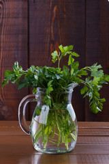 Bouquet of fresh parsley