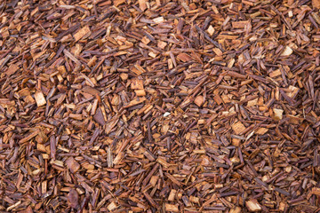 tea rooibos isolated on white background