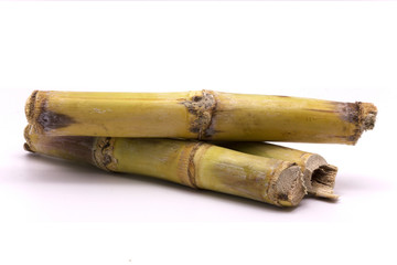 Sugar cane