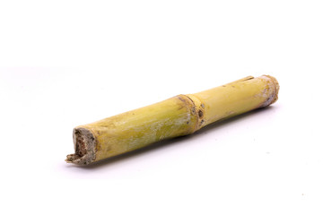 Sugar cane