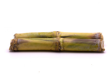 Sugar cane