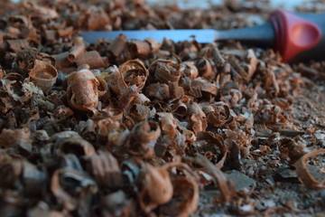 Wood Shavings 7
