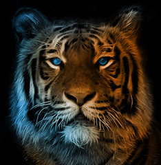 Digital illustration of a bengal tiger