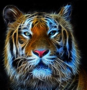 Digital illustration of a bengal tiger