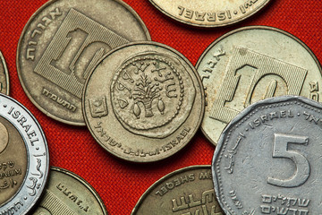 Coins of Israel. Lulav between two etrogim
