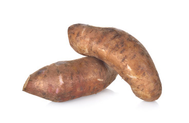 yacon or smallanthus sonchifolius on white background