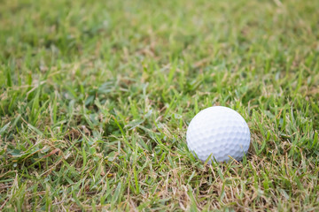 golf-ball on course