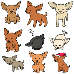 vector set of dog, chihuahua