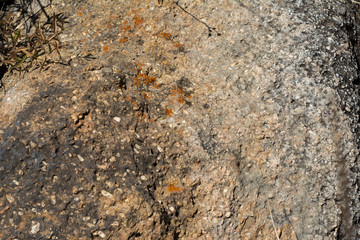 Piedra con musgo y monte a un lado.