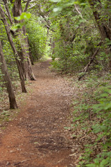 Trail at Mother Neff State Park in Texas