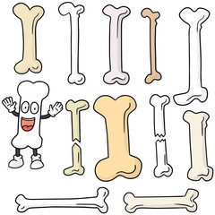 vector set of bone
