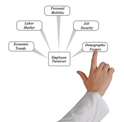 Diagram of Employee Turnover