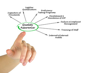 Diagram of Quality Assurance