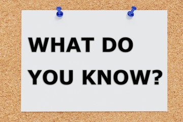 What Do You Know concept