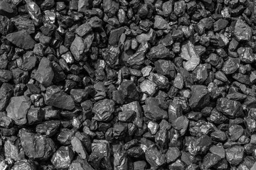 New Zealand Black Coal