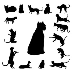 Set of cats silhouette