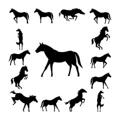 Set wild horse silhouette