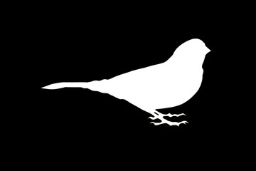 White Bird silhouette