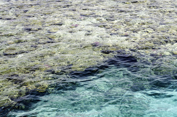 Background sea water among reefs and rocks.