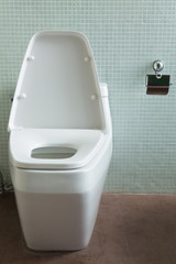 toilet interior modern home