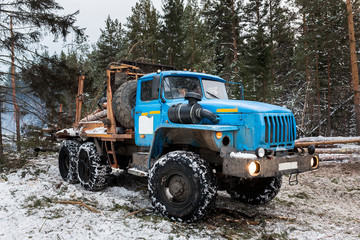 Timber truck in forest