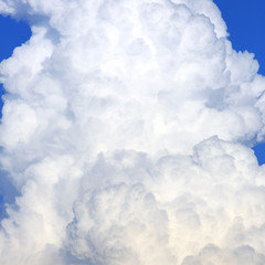 Naklejka premium fluffy cloud on clear blue sky
