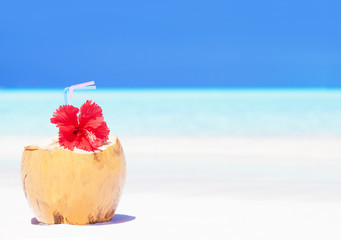 fresh coconut cocktail with red flower on tropical beach