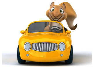 Fun squirrel © Julien Tromeur