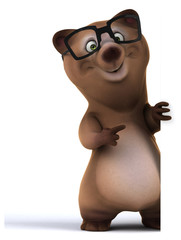 Fun bear
