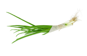 Bundle of a green onion on a light background