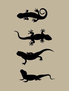 Lizard Silhouettes, art vector design