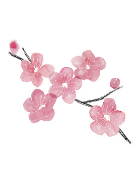 梅の花と枝