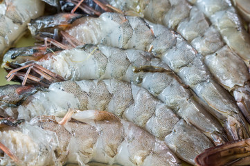 Raw tiger shrimps