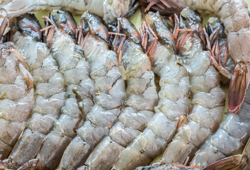 Raw tiger shrimps