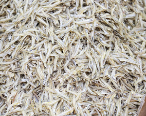 salted dried Anchovy fish