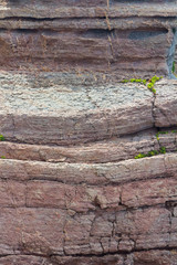 Background textured rock