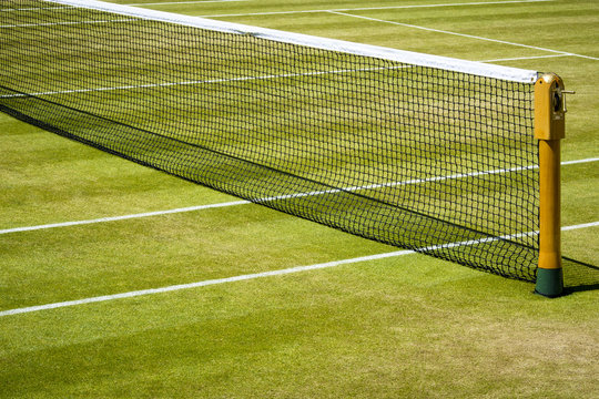 Tennis net and court
