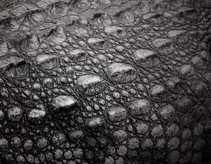 Photo sur Aluminium Crocodile La texture de la peau de crocodile