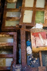visiting the tanneries of fes