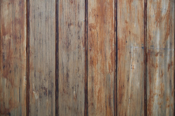 Fototapeta premium Wood Texture