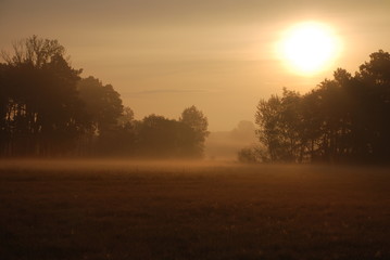 Fototapeta na wymiar Mgły nad polami