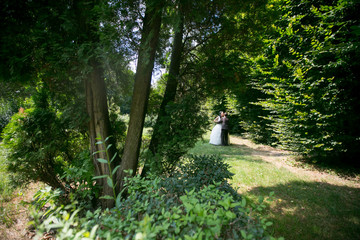 Wedding. Beautiful bride. Beautiful happy wedding couple