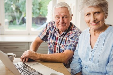 Portrait of smiling senior couple using laptop