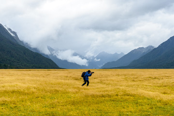 Fototapeta na wymiar New Zealand Landscape