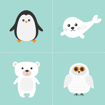 Arctic polar animal set. White bear, owl, penguin, Seal pup baby harp. Kids education cards. Blue background. Isolated. Flat design.