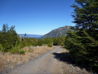 dusty dirt road in park las araucarias in patagonia